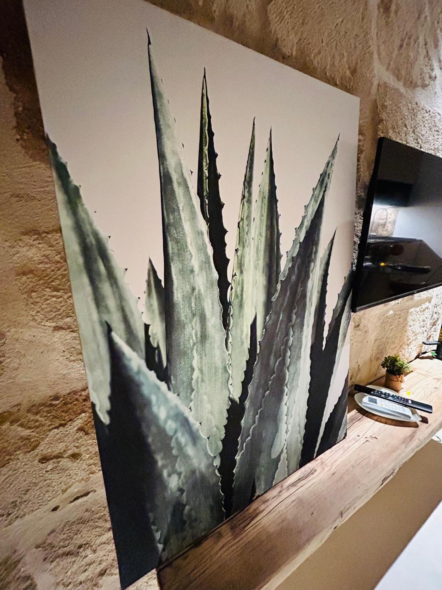 My Loft - Monopoli Daire Dış mekan fotoğraf